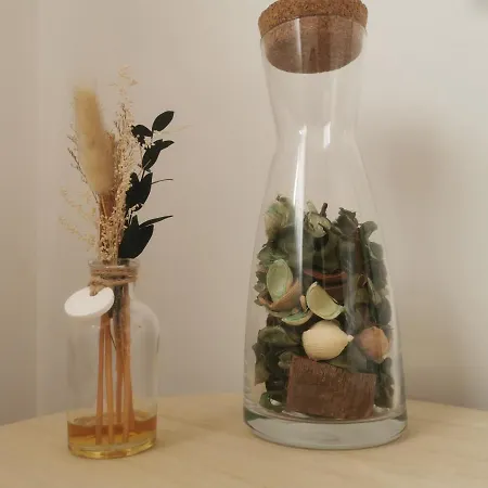 Ana Paula House 民宿 *