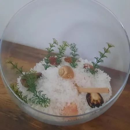 民宿 Ana Paula House *