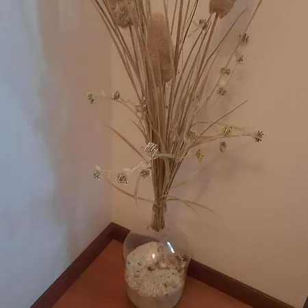 Privatunterkunft Ana Paula House Aveiro