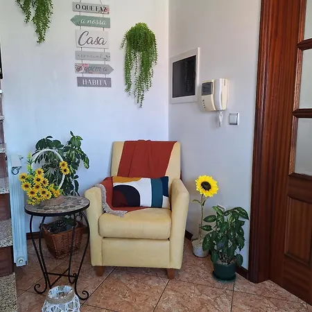 Проживание в семье Ana Paula House