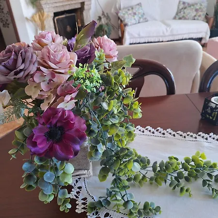 Ana Paula House Авейру