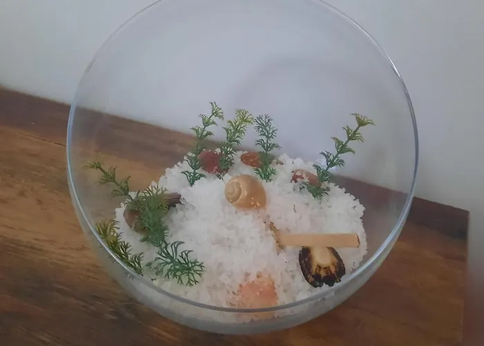 Séjour chez l'habitant Ana Paula House *